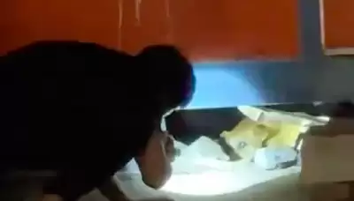 笼子血肉矿区更新了哪些