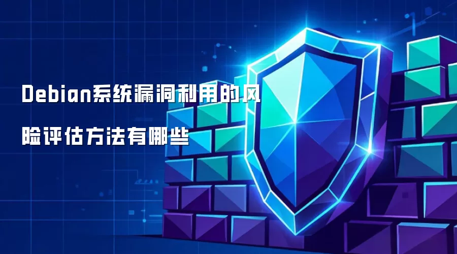 Debian系统漏洞利用的风险评估方法具体有哪些