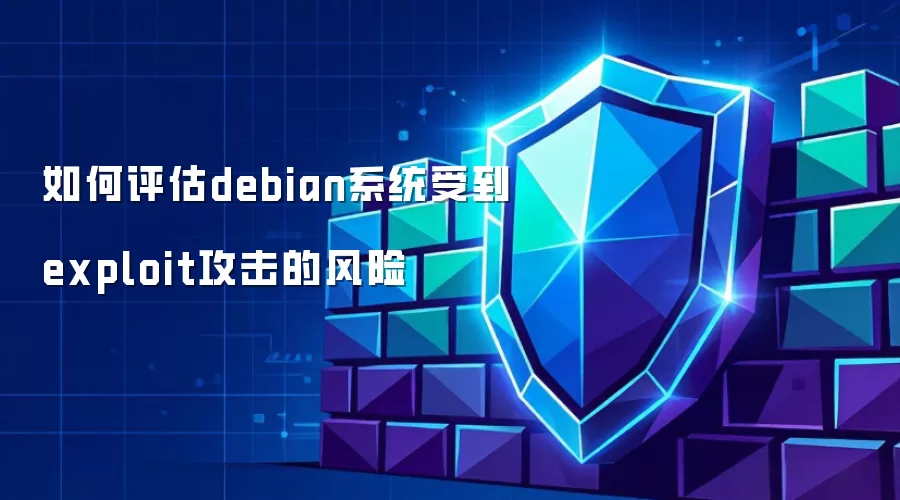 如何评估debian系统面临exploit攻击的风险