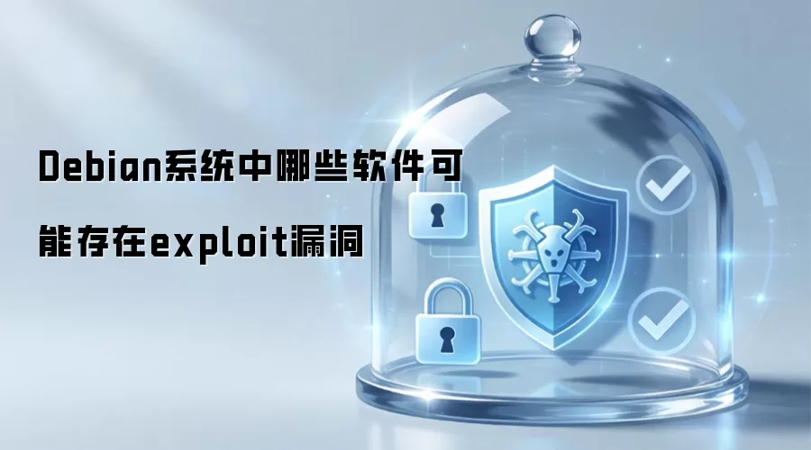 Debian系统中哪些软件可能含有exploit漏洞