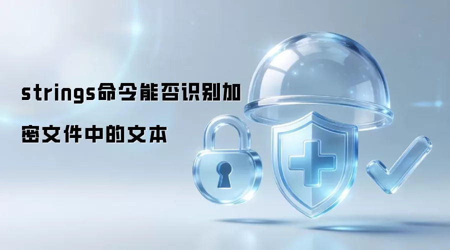 strings命令能否识别加密文件里的文本