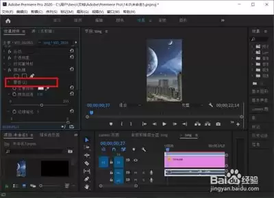 premiere2020蒙版功能如何显示视频部分区域-premiere2020蒙版功能怎样展示视频部分区域