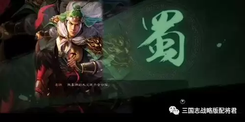 三国杀武将赵襄觉醒如何搭配阵容