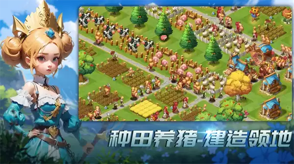 王国传承游戏重要资源详解