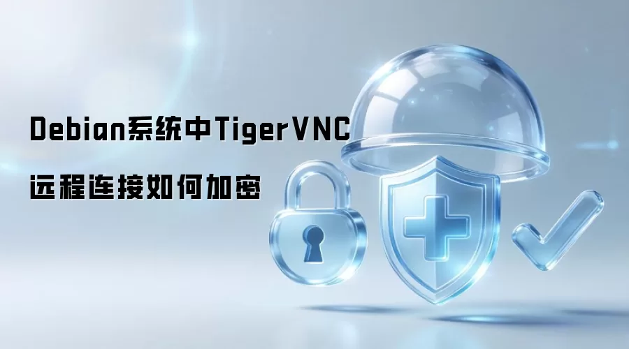 Debian系统下TigerVNC远程连接如何加密