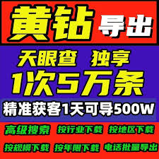 天眼如何查老赖