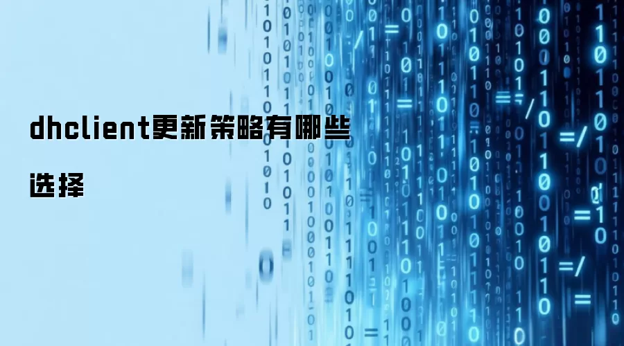 dhclient更新策略的选择有哪些