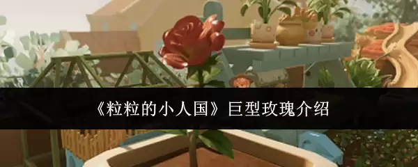 《粒粒的小人国》巨型玫瑰解读