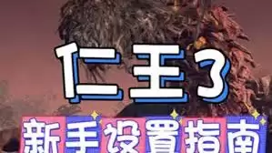仁王3画面怎么设置