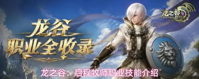 龙之谷：启程牧师职业技能详解