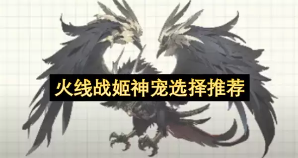 火线战姬神宠选择攻略
