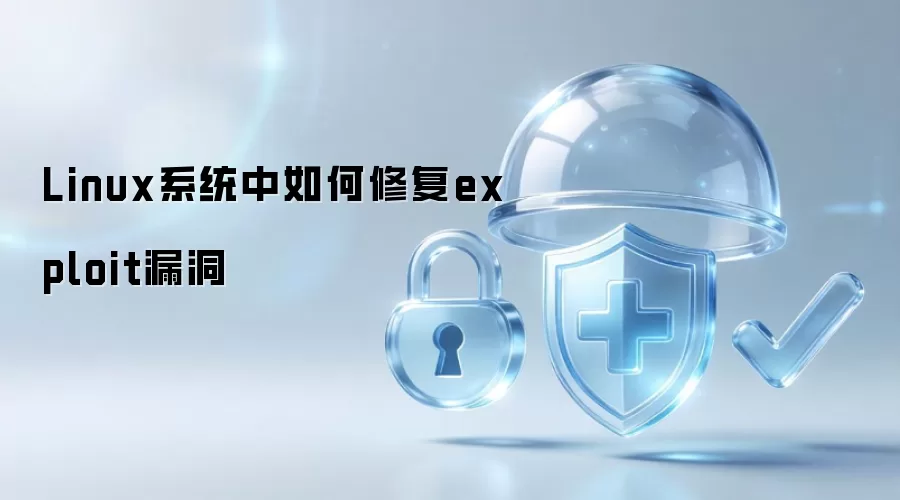 Linux系统如何修复exploit漏洞