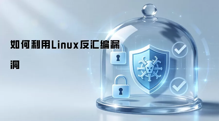 怎样利用Linux反汇编漏洞