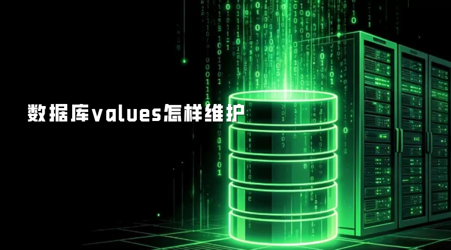 数据库values如何维护
