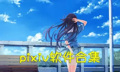pixiv网页版官网入口在哪儿