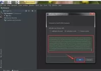 2020年IntelliJ IDEA的注册码是什么