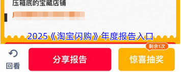 淘宝闪购年度报告在哪里查看