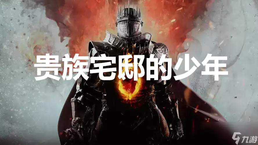 龙之信条2支线任务贵族宅邸的少年怎么完成