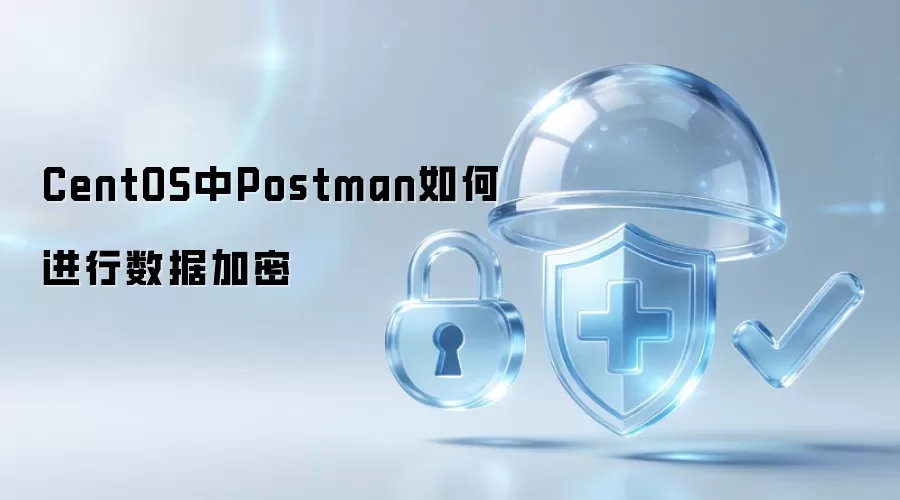 CentOS中Postman数据加密如何实现