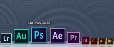 Adobe Bridge有哪些核心功能