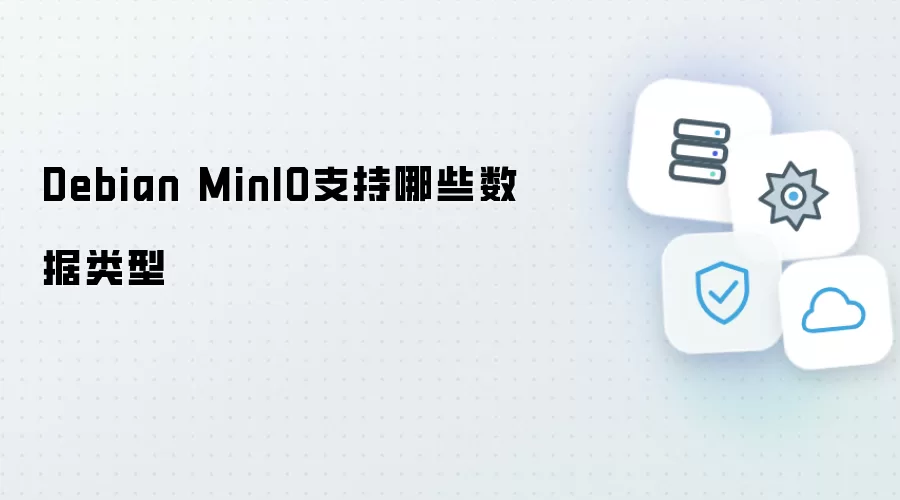 Debian MinIO可支持哪些数据类型