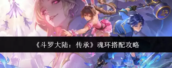 《斗罗大陆：传承》魂环搭配攻略