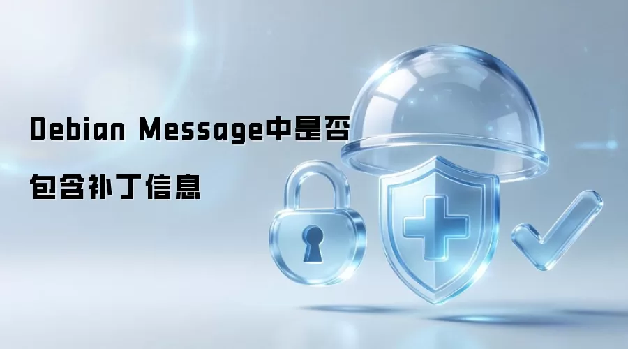 Debian Message中是否有补丁信息