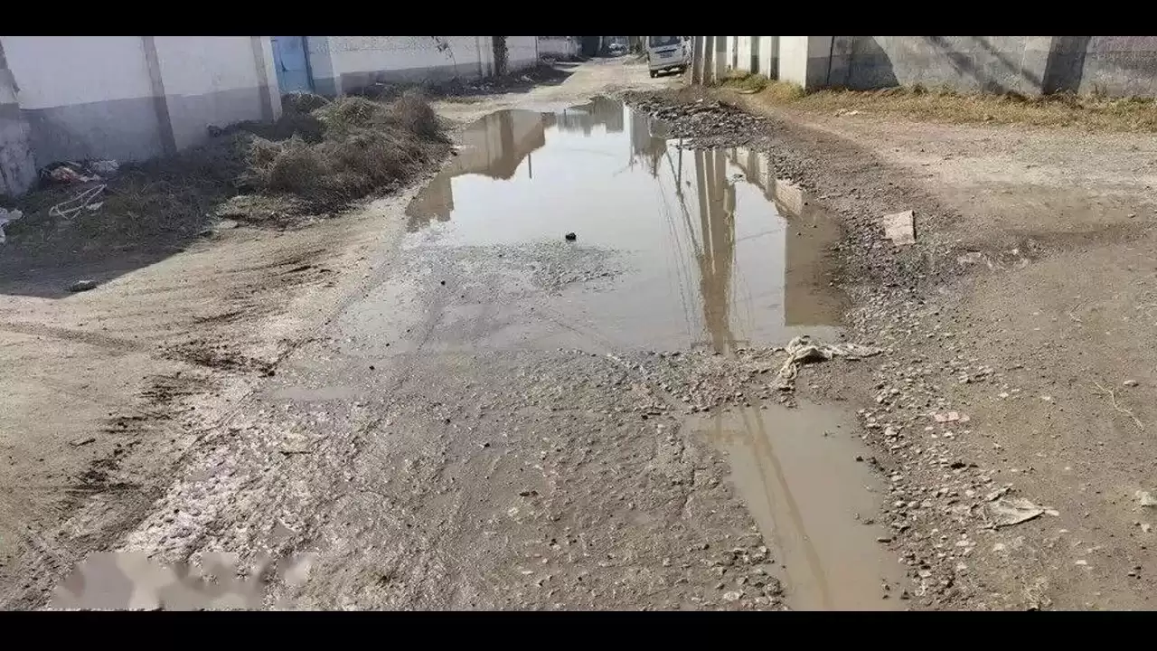基于YOLO11的道路积水视觉检测：从数据集构建到云上训练实践