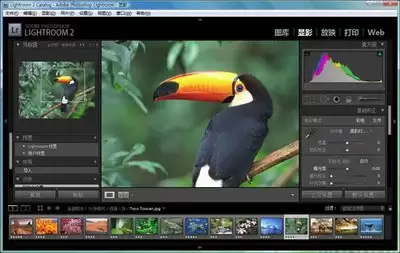 Adobe-Bridge图片堆栈-多张连拍素材在Adobe-Bridge中的整理方法