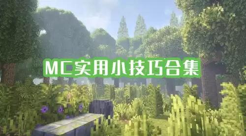 我的世界实用小技巧有哪些-MC小技巧合集