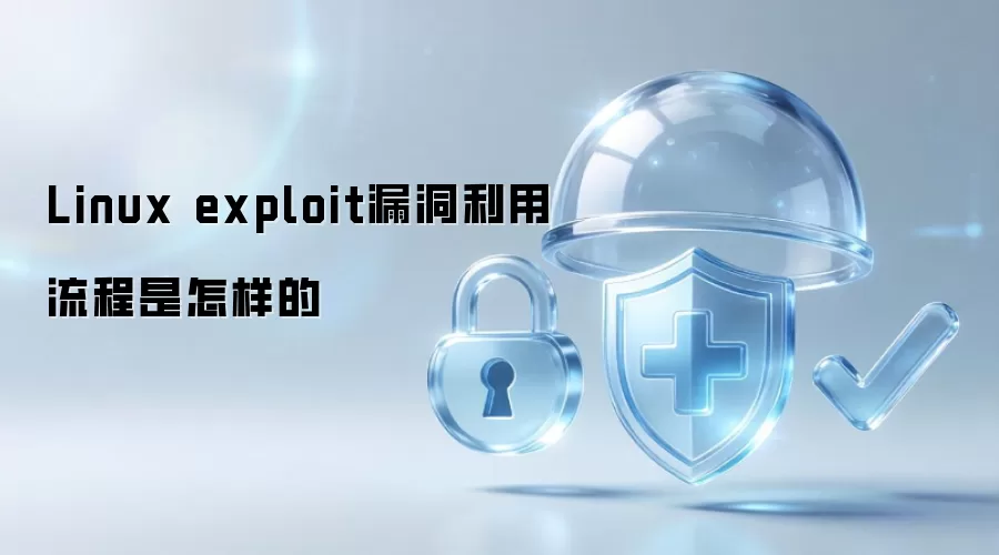 Linux exploit漏洞利用流程是怎样的方式