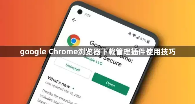 Google Chrome浏览器下载管理插件使用技巧