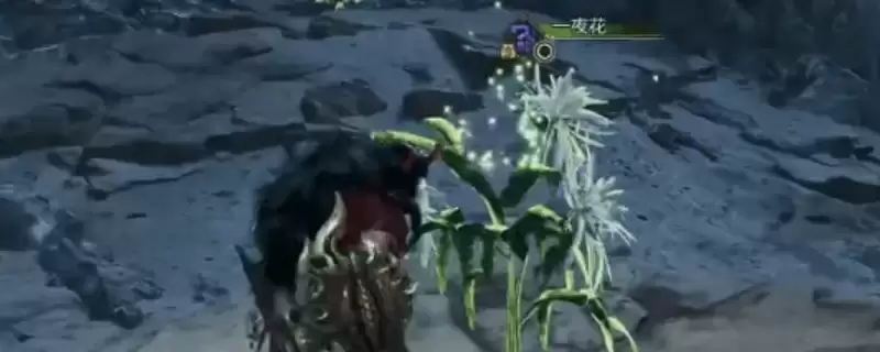 《怪物猎人：荒野》攻略——刷一夜花攻略介绍