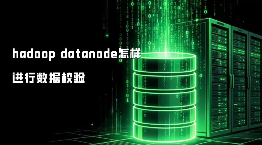 hadoop datanode如何进行数据校验