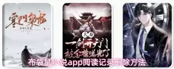 布袋鼠小说app怎么阅读