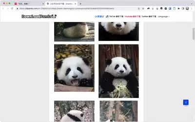熊猫办公网页版怎么在线登录-熊猫办公官网首页入口在哪