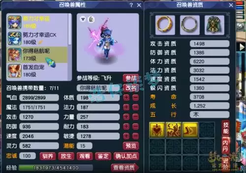 梦幻西游神木装备怎么配置-梦幻西游神木装备如何进行配置