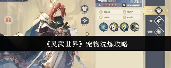 灵武世界宠物洗炼攻略