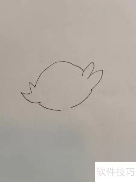 详解炎兔儿绘画步骤