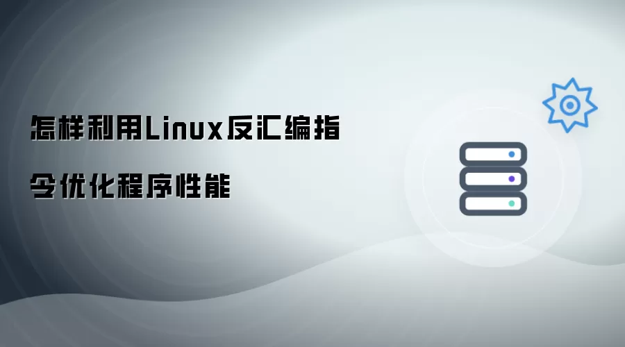 如何利用Linux反汇编指令提升程序性能