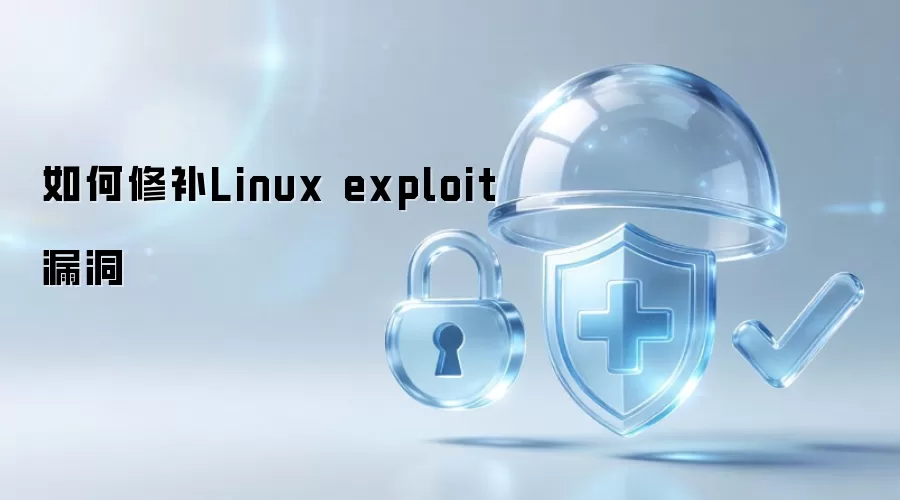 怎样修补Linux exploit漏洞