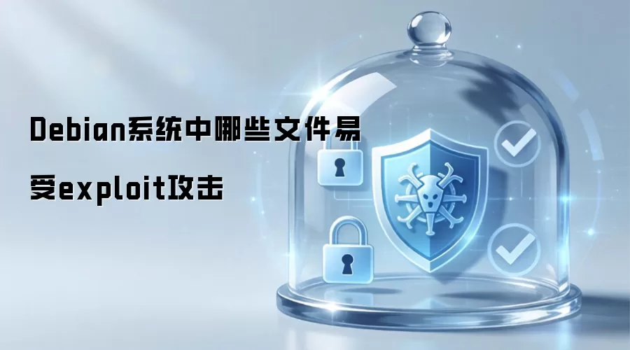 Debian系统中哪些文件易受exploit攻击