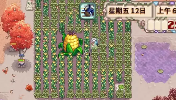 星露谷物语玉米做什么用