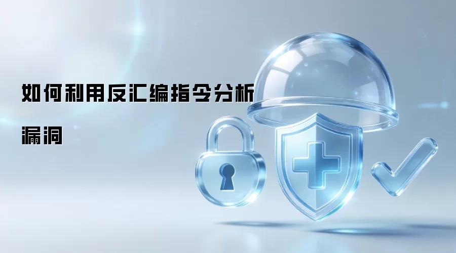 如何利用反汇编指令分析漏洞