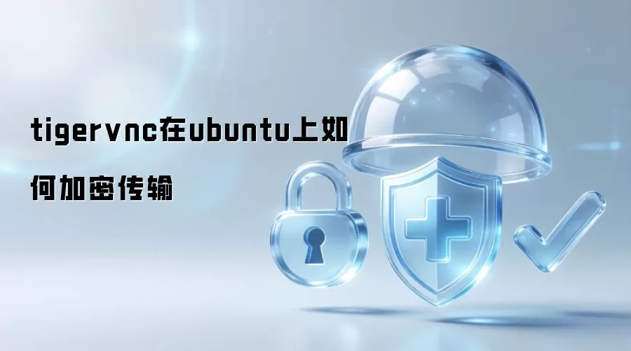 tigervnc在ubuntu上如何加密传输