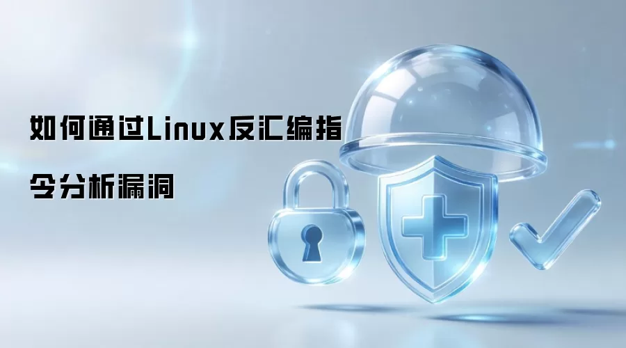 如何通过Linux反汇编指令分析漏洞
