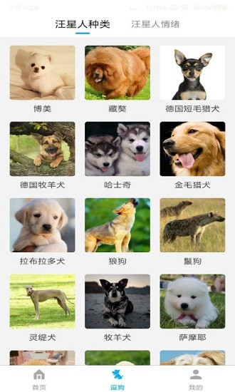 宠物翻译器