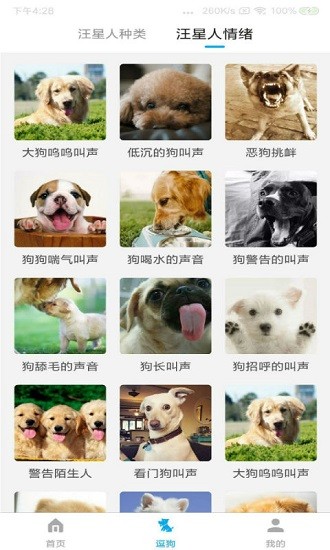 宠物翻译器
