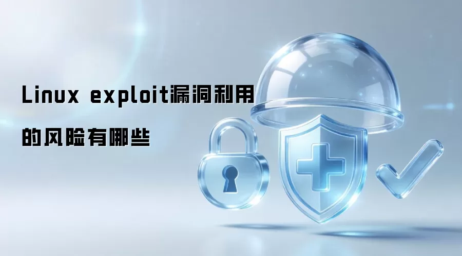 Linux exploit漏洞利用的风险有哪些