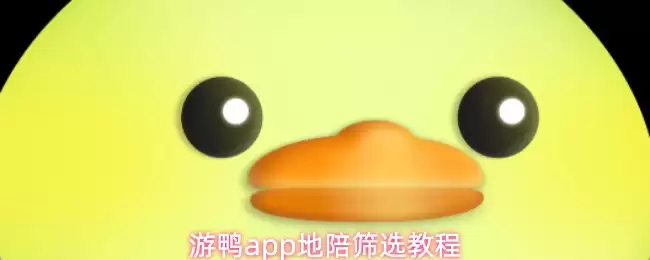 游鸭app地陪筛选操作步骤